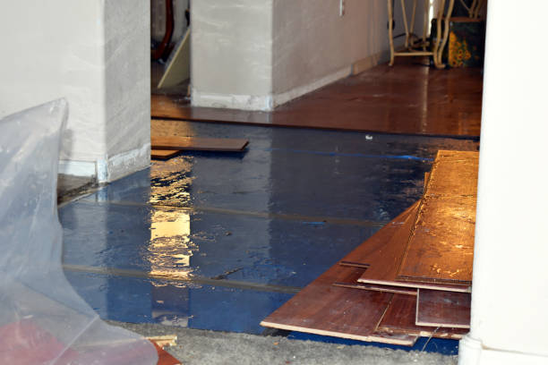 Professional Emergency Water Damage Restoration technician working in Silverwood, MI