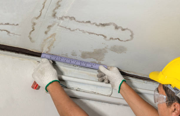 Reliable Emergency Water Damage Restoration contractor in Silverwood, MI by Water Damage Irwin